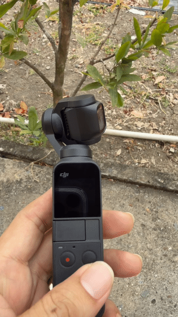 Thanh Lý DJI Osmo Pocket 1 Đẹp Keng Fullbox. Mua bán Máy ảnh, Máy quay tại Huyện Bình Chánh Tp Hồ Chí Minh được đăng bởi Hào Ca hình 1