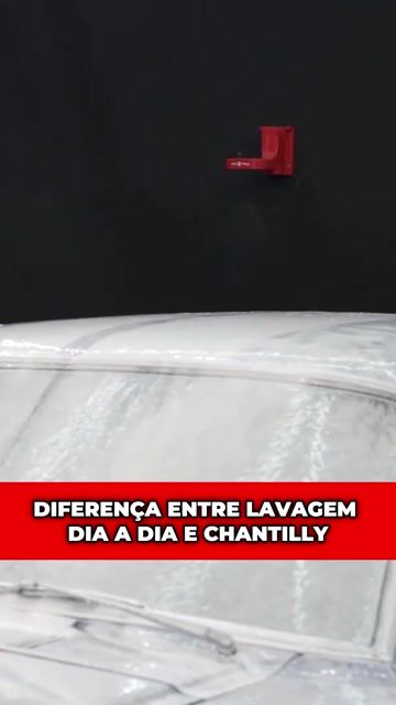 DIFERENÇA ENTRE LAVAGEM DIA A DIA E CHANTILLY
#Cocielo‬ #acf #MUSTANG #protelim #acfperformance