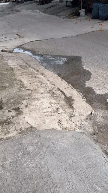 Cho thuê Nhà ở Huyện Bình Chánh Tp Hồ Chí Minh diện tích 100 m² giá 5 triệu/tháng