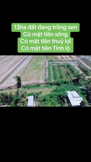 Mua bán Đất Huyện Tháp Mười Đồng Tháp diện tích 129472 m² giá 23 tỷ
