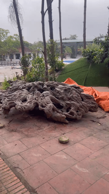 Bộ bàn gỗ Cửu Long Tranh Châu. Mua bán Bàn ghế tại Huyện Đông Anh Hà Nội được đăng bởi Lê Khắc Duy hình 1