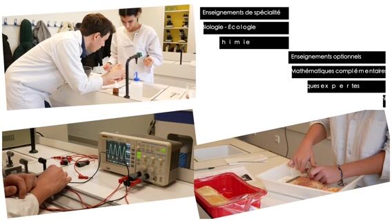 Demain, Agro ou Véto ?