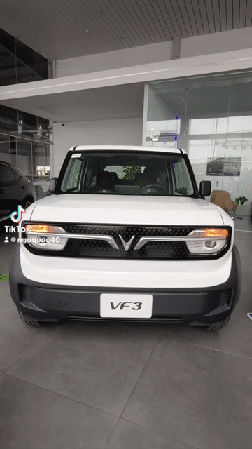 VinFast VF3 2025. Mua bán Ô tô tại Quận 12 Tp Hồ Chí Minh được đăng bởi Ngo Quoc hình 1