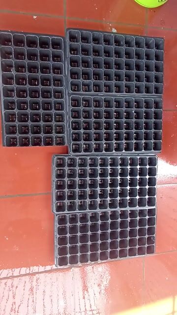 Khay ươm hạt nhựa đen. Mua bán Cây cảnh, đồ trang trí tại Quận Nam Từ Liêm Hà Nội được đăng bởi Mỹ Linh hình 1