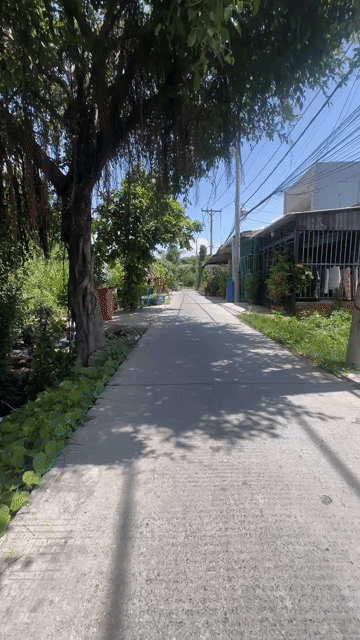 Mua bán Đất Huyện Bình Chánh Tp Hồ Chí Minh diện tích 169 m² giá 2,7 tỷ