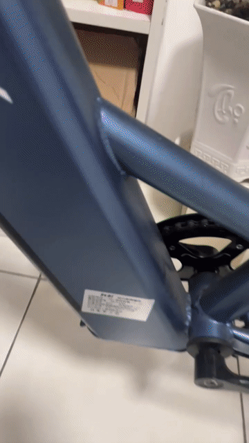 Xe đạp điện Phoenix Xanh. Mua bán Xe đạp tại Quận 12 Tp Hồ Chí Minh được đăng bởi Ý hình 1