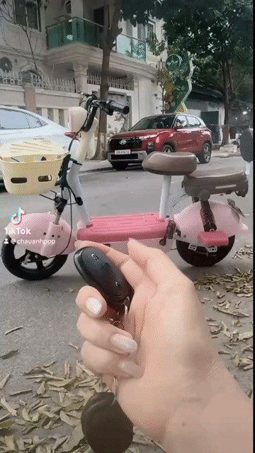 Xe đạp điện màu Hồng. Mua bán Xe đạp tại Thành phố Vĩnh Yên Vĩnh Phúc được đăng bởi Mabao hình 1