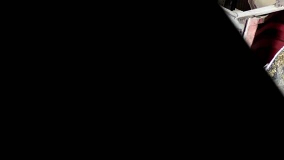 Pour 350 vaches et quelques taureaux