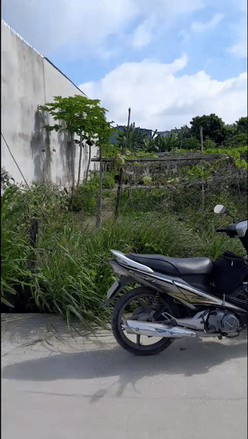 Mua bán Đất Huyện Đức Hòa Long An diện tích 340 m² giá 2,5 tỷ