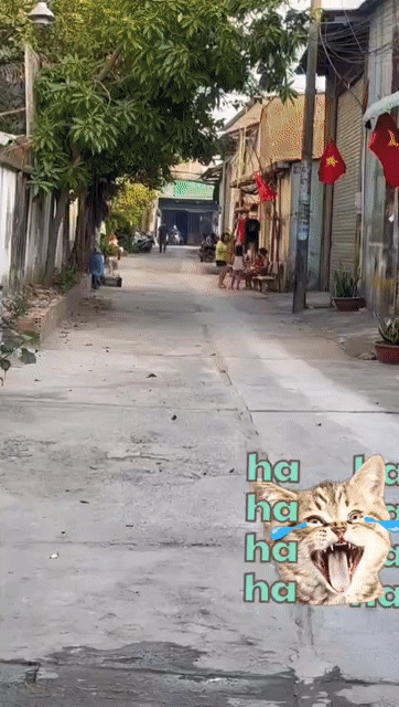 Mua bán Nhà ở Huyện Bình Chánh Tp Hồ Chí Minh diện tích 64 m² giá 2,55 tỷ