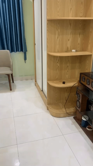 Cho thuê Căn hộ Chung cư Quận Long Biên Hà Nội diện tích 32 m² giá 9 triệu/tháng
