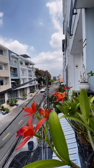 Mua bán Nhà ở Quận 6 Tp Hồ Chí Minh diện tích 74.4 m² giá 12,3 tỷ