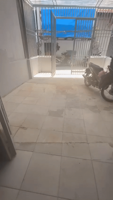 Cho thuê Nhà ở Quận Bình Tân Tp Hồ Chí Minh diện tích 48 m² giá 6,5 triệu/tháng