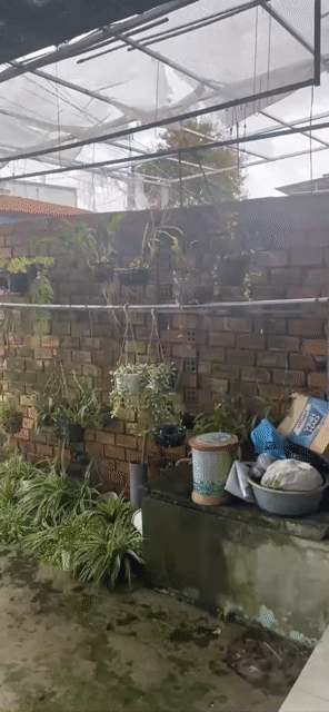 Mua bán Nhà ở Huyện Hòa Thành Tây Ninh diện tích 192.5 m² giá 2,3 tỷ