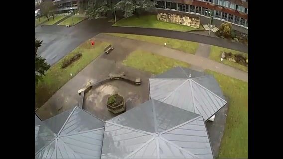 Les peintres sont des magiciens