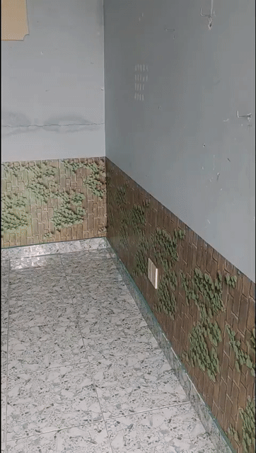 Cho thuê Phòng trọ Quận 11 Tp Hồ Chí Minh diện tích 18 m² giá 2,5 triệu/tháng