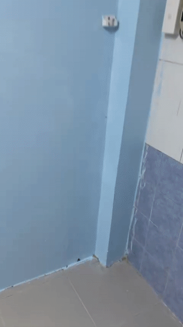 Cho thuê Phòng trọ Quận 3 Tp Hồ Chí Minh diện tích 17 m² giá 3,2 triệu/tháng