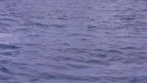 Les profondeurs de la plongée