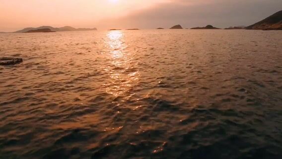 De la mer au marché