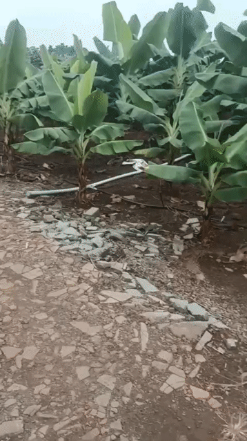 Mua bán Đất KDC Sông Trầu Huyện Trảng Bom Đồng Nai diện tích 100 m² giá 150 triệu