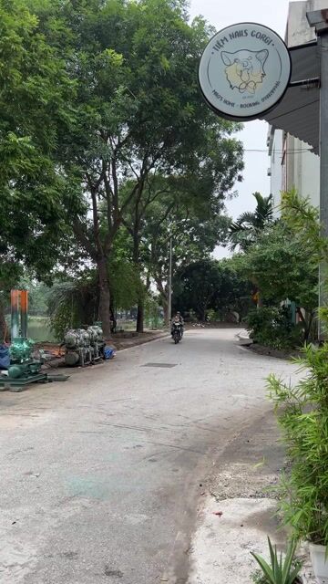 Honda Future Neo 2008 cũ - Hà Nội. Mua bán Xe máy tại Quận Hoàng Mai Hà Nội được đăng bởi Duy Minh hình 1