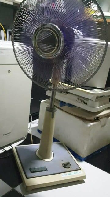 Quạt đứng Toshiba Nhật Bản. Mua bán Quạt tại Quận 6 Tp Hồ Chí Minh được đăng bởi LT Japan hình 1