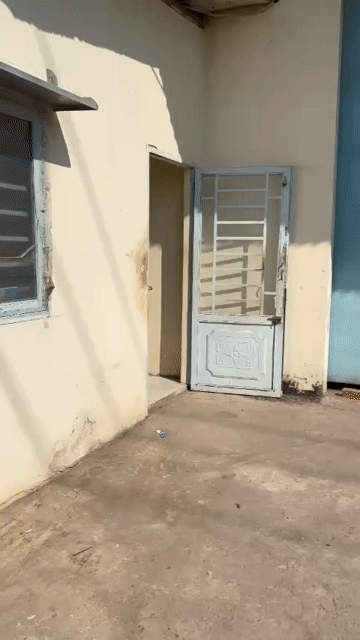 Cho thuê Nhà ở Huyện Củ Chi Tp Hồ Chí Minh diện tích 1000 m² giá 50 triệu/tháng