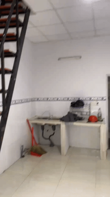 Cho thuê Phòng trọ Thành phố Thủ Đức Tp Hồ Chí Minh diện tích 52 m² giá 7 triệu/tháng