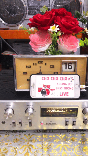 Loa Bose 301 Series 5 (Đẹp như mới). Mua bán Tivi, Âm thanh tại Quận Ninh Kiều Cần Thơ được đăng bởi Khoile audio cần thơ hình 1