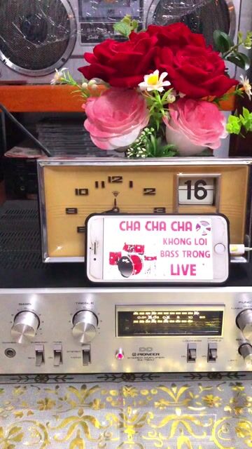 Loa Bose 301 Series 5 (Đẹp như mới). Mua bán Tivi, Âm thanh tại Quận Ninh Kiều Cần Thơ được đăng bởi Khoile audio cần thơ hình 1