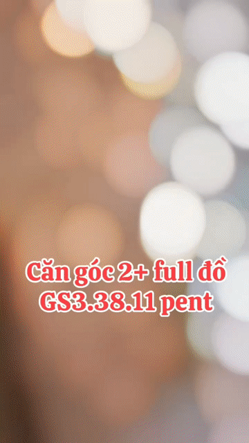 Cho thuê Căn hộ Chung cư Vinhomes Smart City Quận Nam Từ Liêm Hà Nội diện tích 64 m² giá 11 triệu/tháng