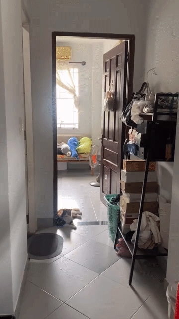 Cho thuê Phòng trọ Quận Gò Vấp Tp Hồ Chí Minh diện tích 25 m² giá 3,6 triệu/tháng