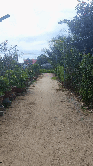 Mua bán Đất Huyện Diên Khánh Khánh Hòa diện tích 84 m² giá 480 triệu