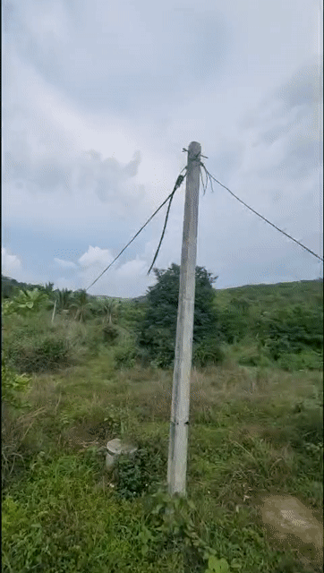 Mua bán Đất Huyện Buôn Đôn Đắk Lắk diện tích 10000 m² giá 1 tỷ