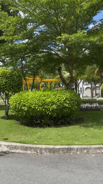Mua bán Nhà ở Lavilla Green City Thành phố Tân An Long An diện tích 100 m² giá 4,85 tỷ