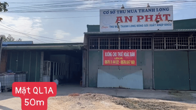 Mua bán Đất Huyện Hàm Tân Bình Thuận diện tích 2100 m² giá 48 tỷ