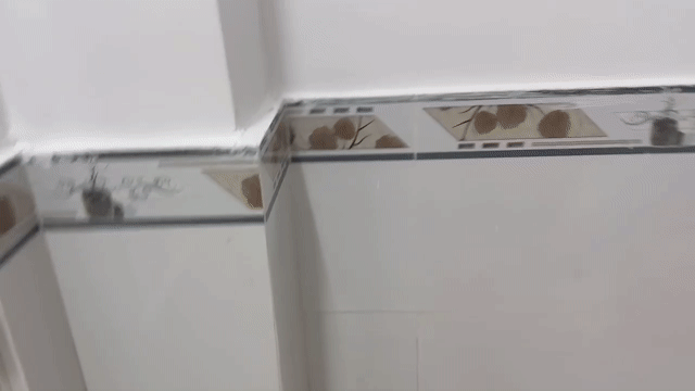 Cho thuê Phòng trọ Quận Tân Bình Tp Hồ Chí Minh diện tích 15 m² giá 1,26 triệu/tháng