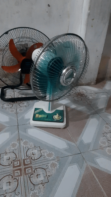 Quạt bàn Toshiba Inox. Mua bán Quạt tại Huyện Văn Lâm Hưng Yên được đăng bởi Trần thị hồng hình 1
