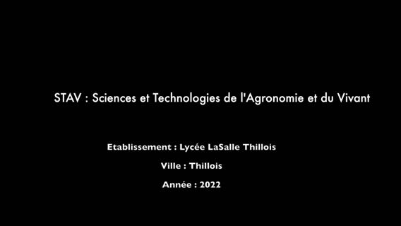 Découverte de la filière première STAV