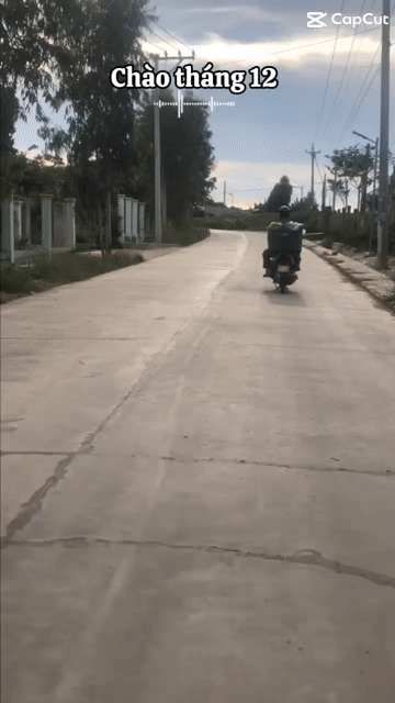 Mua bán Đất Huyện Hàm Tân Bình Thuận diện tích 447.7 m² giá 900 triệu