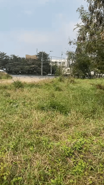 Mua bán Đất Huyện Bình Chánh Tp Hồ Chí Minh diện tích 2500 m² giá 28 tỷ