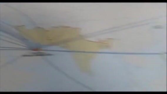 Vétérinaire rapace