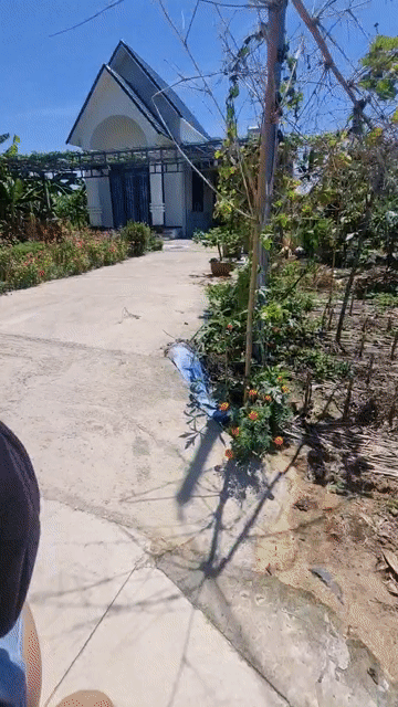 Mua bán Đất Huyện Định Quán Đồng Nai diện tích 2000 m² giá 2,5 tỷ
