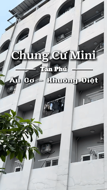 Cho thuê Căn hộ Chung cư Quận Tân Phú Tp Hồ Chí Minh diện tích 35 m² giá 5,5 triệu/tháng