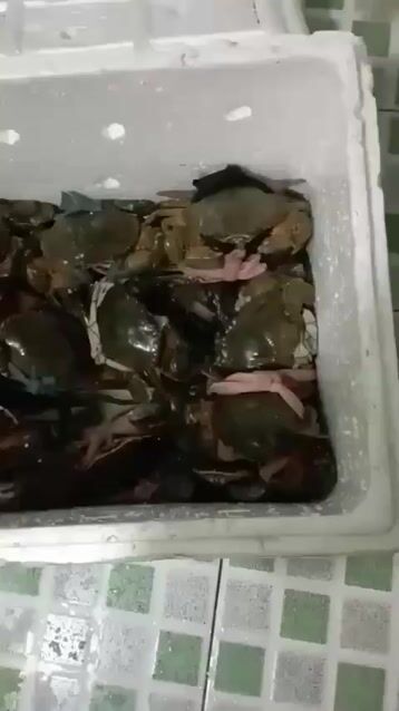 Cua Cà Mau. Mua bán Đồ ăn, thực phẩm và các loại khác tại Thành phố Thủ Dầu Một Bình Dương được đăng bởi Huỳnh Ngoan hình 1