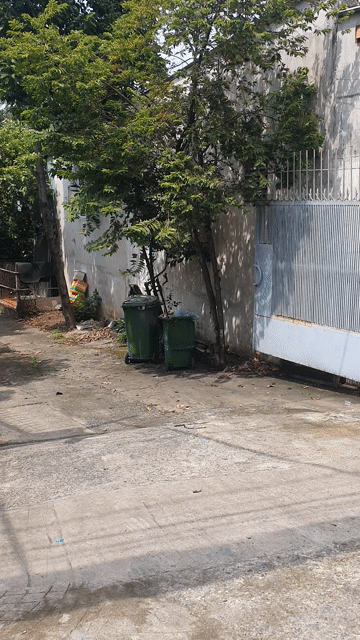 Cho thuê Văn phòng, Mặt bằng kinh doanh Thành phố Thủ Đức Tp Hồ Chí Minh diện tích 500 m² giá 20 triệu/tháng