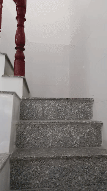Cho thuê Nhà ở Huyện Cần Đước Long An diện tích 55 m² giá 2,5 triệu/tháng