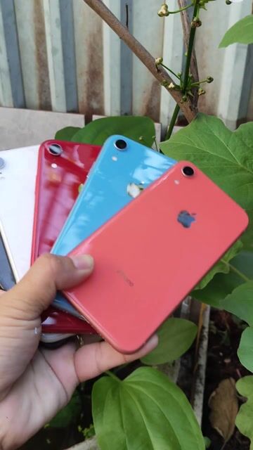 Apple iPhone XR 64GB Mất Face ID . Mua bán Điện thoại tại Thành phố Thủ Đức Tp Hồ Chí Minh được đăng bởi Điện Thoại Chính hãng Sài Gòn hình 1