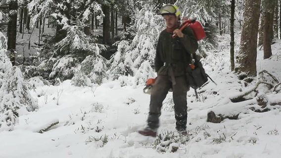 Chroniques de la forêt vosgienne : le bûcheron