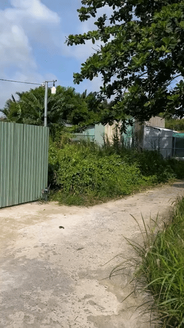Mua bán Đất Huyện Cần Giuộc Long An diện tích 38.7999 m² giá 230 triệu